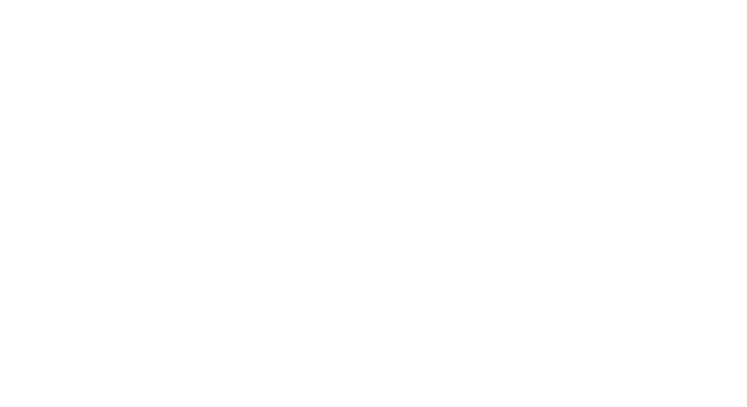 Rocky Wilkerson Logo White